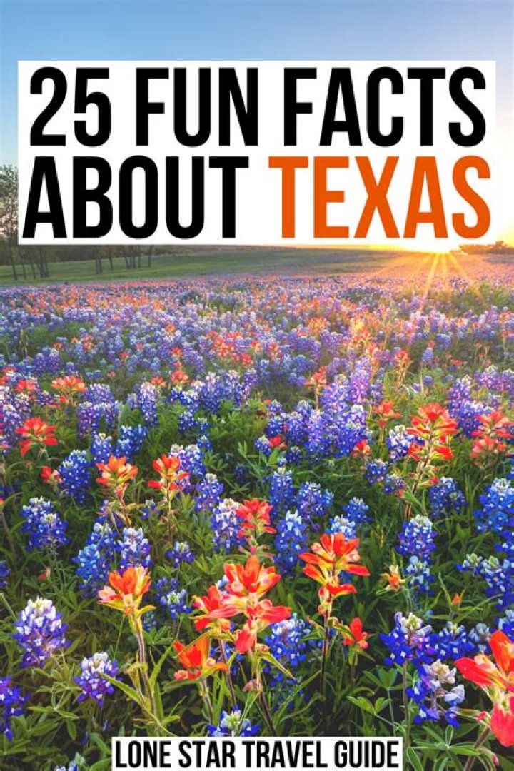 25 Interesting Facts about Texas Swedish Nomad