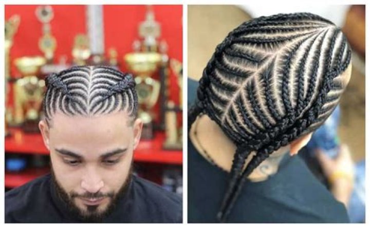 40 coolest Iverson braids to try in 2020 Tuko.co.ke