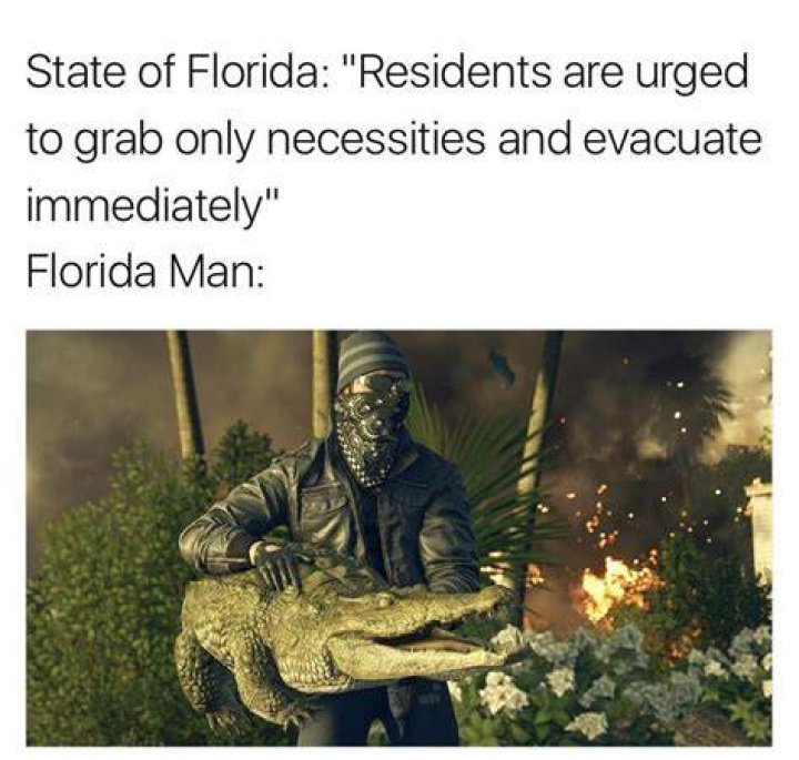 50 WTF Florida Man Memes and Headlines to Feed Your Pool Gators Funny