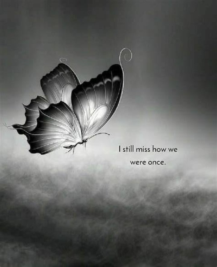 70 Heart Touching I am Sorry Quotes & Captions The Bright Quotes