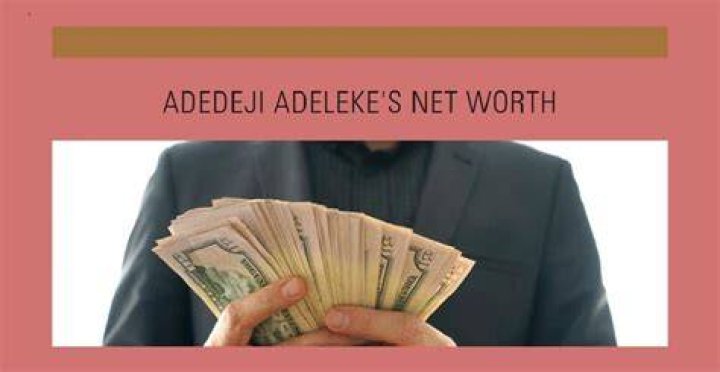 Adedeji Adeleke Net Worth 2024 Reggi Charisse