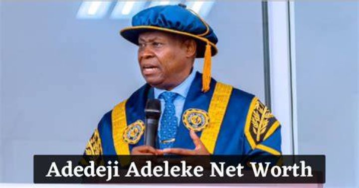 Adedeji Adeleke Net Worth And Biography 2021