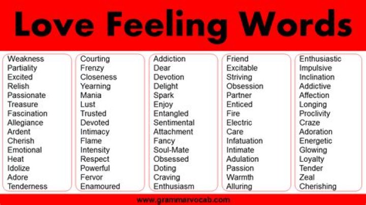 Adjectives for Love, Words to Describe Love