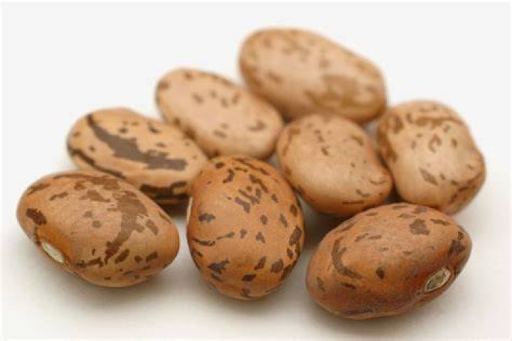 All About the Pinto! The Many Health Benefits of Pinto Beans In The