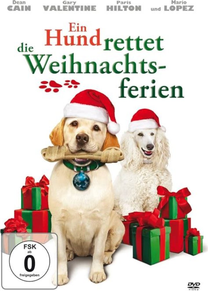 Amazon.de Ein Hund rettet die Weihnachtsferien ansehen Prime Video