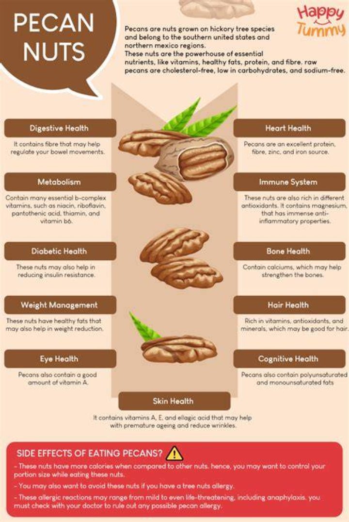 Are Pecan Nuts Good For Dogs