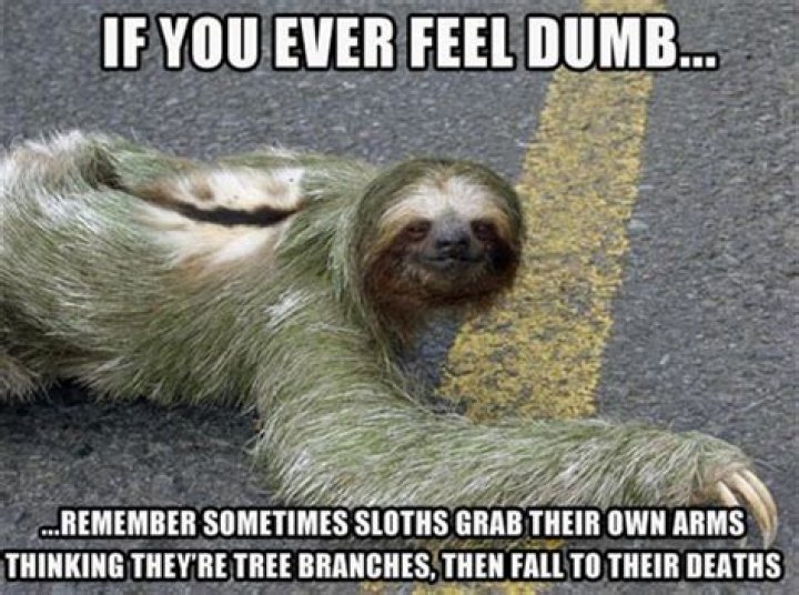 Bored? Read These Dumb Useless Facts That Won't Fail to Amuse You