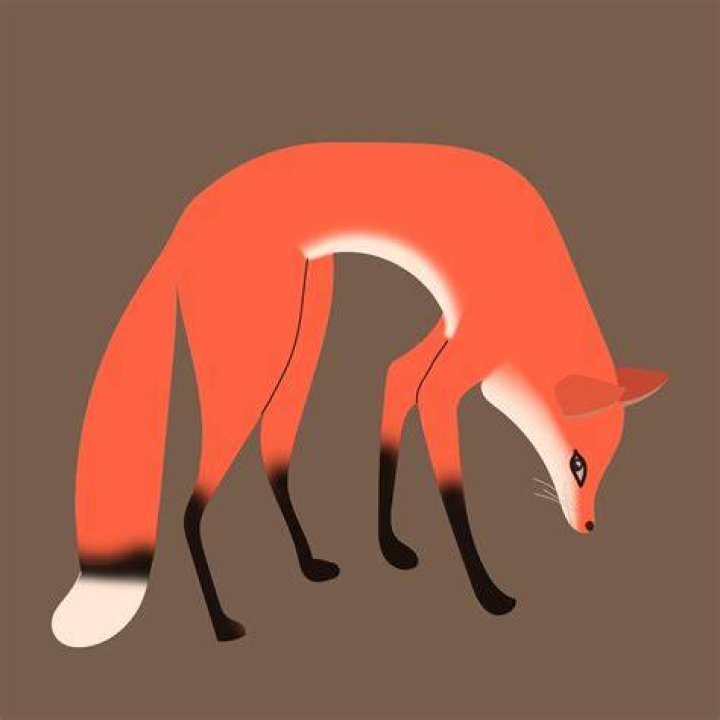 cartoon_fox Collection OpenSea