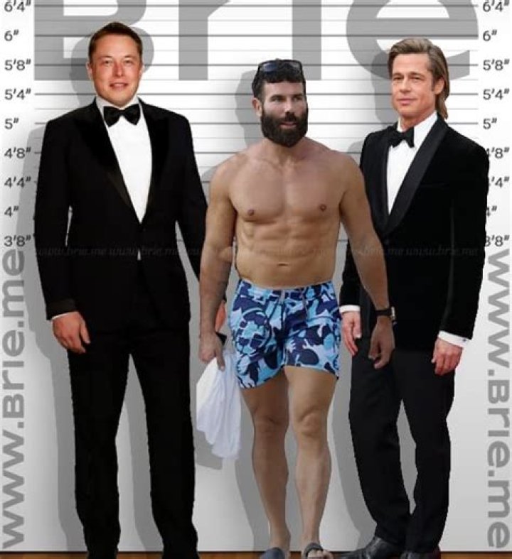 Dan Bilzerian Height Brie