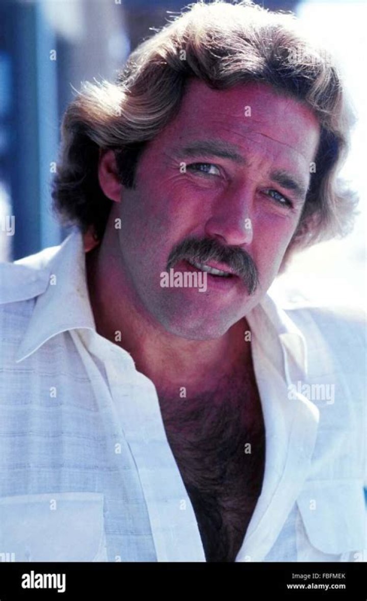 Dan Haggerty