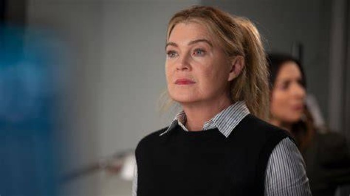 Ellen Pompeo Grey's Anatomy Actors in Other Roles POPSUGAR