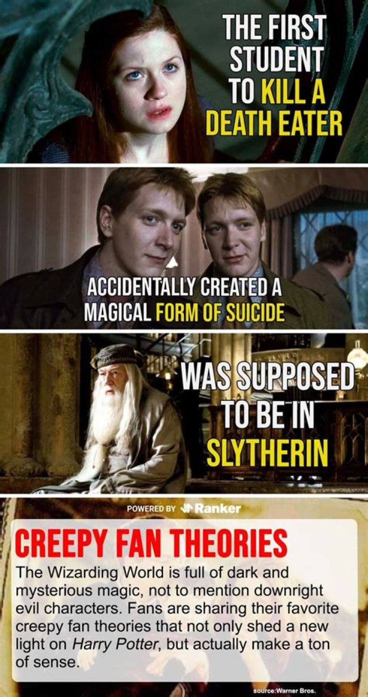Harry Potter Fan Theory Why Professor McGonagall Was Secretly A
