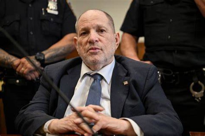Harvey Weinstein's Ex Wants Remaining 5 Million in Child Support
