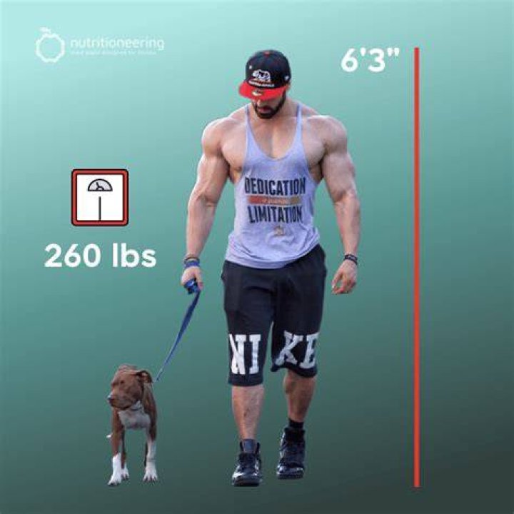 How tall is Bradley Martyn? Bradley Martyn Height, Age, Weight and Much