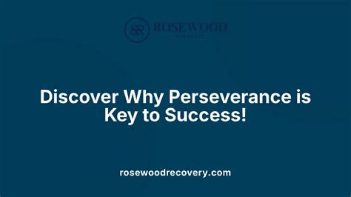 Insights Into Success And Perseverance