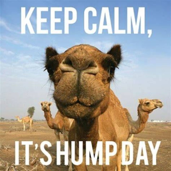 Keep Calm It;s Humpday Pictures, Photos, and Images for Facebook