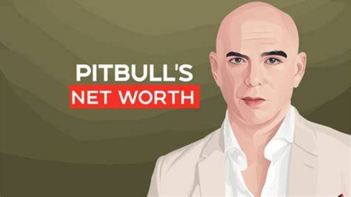 Pitbull Net Worth A Comprehensive Breakdown of the Rapper's Fortune in