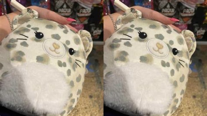 Rarest squishmallow? r/squishmallow