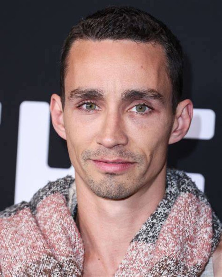 Robert Sheehan His career and personal life including Netflix hit and