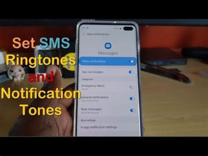 S10 Text Message Notification Sound Not Working Samsung Community