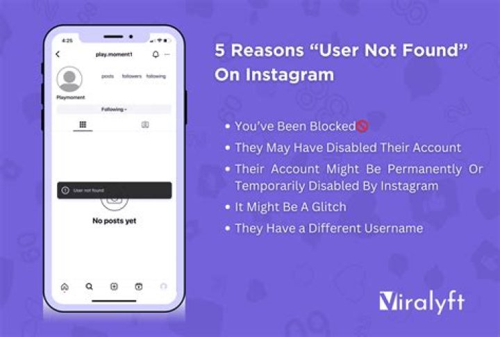 User Not Found on Instagram Causes and Solutions