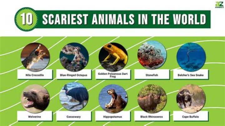 What Are the Scariest Animals on Earth? Heads Up by Boys' Life