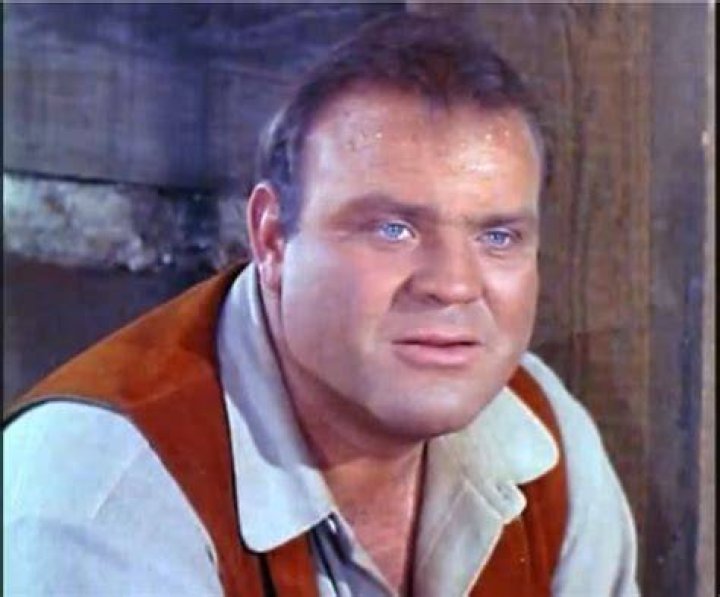 Whatever Happened To Dan Blocker, Hoss Cartwright From 'Bonanza'?
